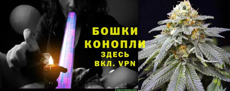 Конопля OG Kush  Гагарин 